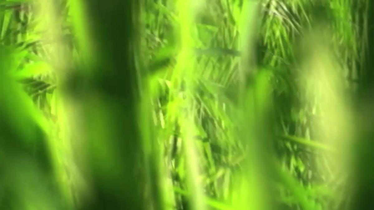 Lawn Care in Wilson NC, Chris&#39;s Lawn Cutting