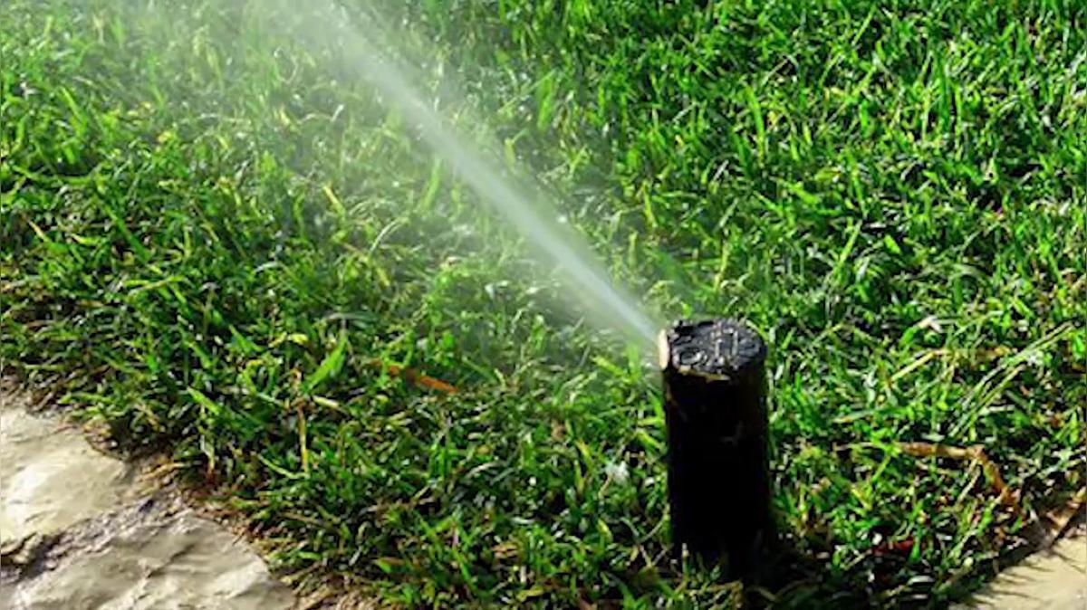 Irrigation Maintenance in Bradenton FL, Travis Reed Irrigation