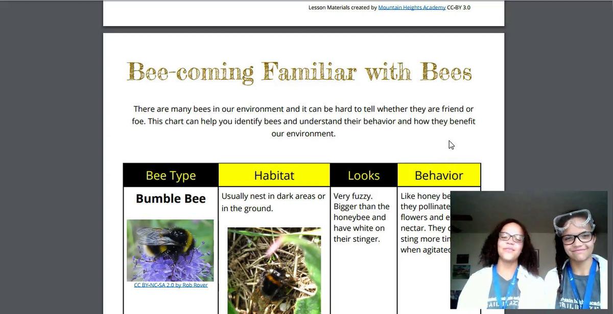 Bee Team Becoming Familiar with Bees