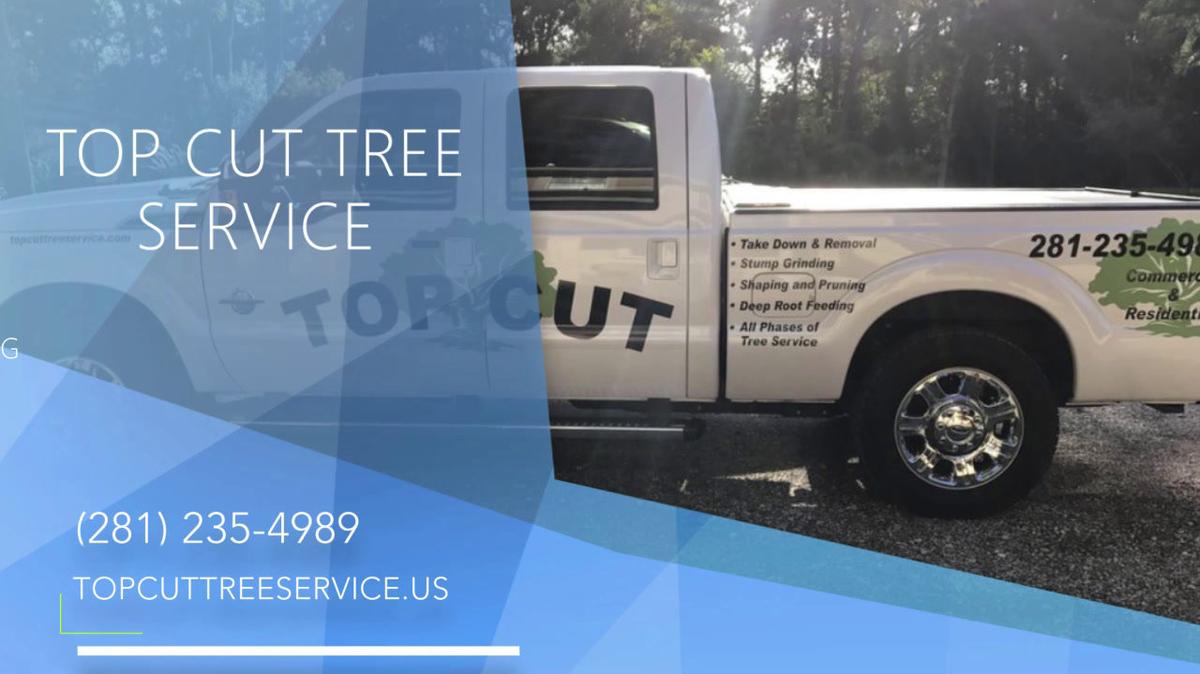 Tree Service in Conroe TX, Top Cut Tree Service