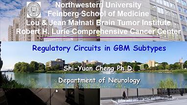 Regulatory Circuits in GBM Subtypes