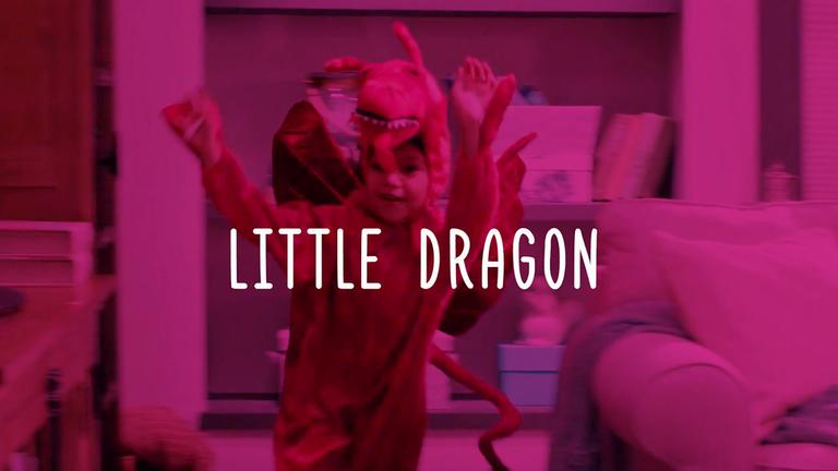 Little Dragon