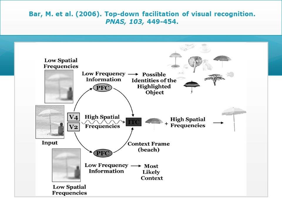 Johan Wagemans &quot;AVA Christmas Meeting 2012: The Encoding of Parts and Wholes in the Visual Cortical Hierarchy&quot;