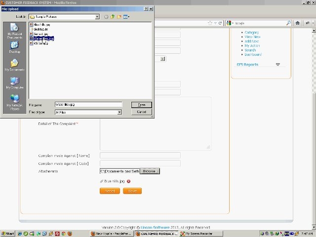Do web application programming and error fixing