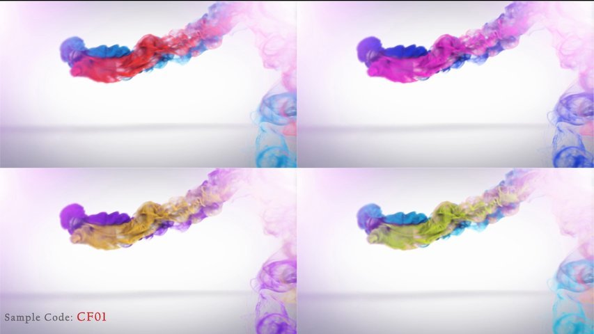create this colorful logo reveal or logo animation or logo intro with audio
