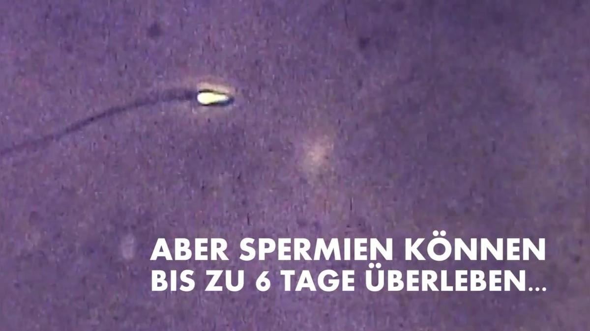 Mythos: Während der Periode kann man nicht schwanger werden