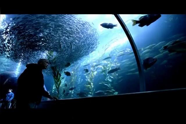 AMEX_SMARTCO web - Computer.mov