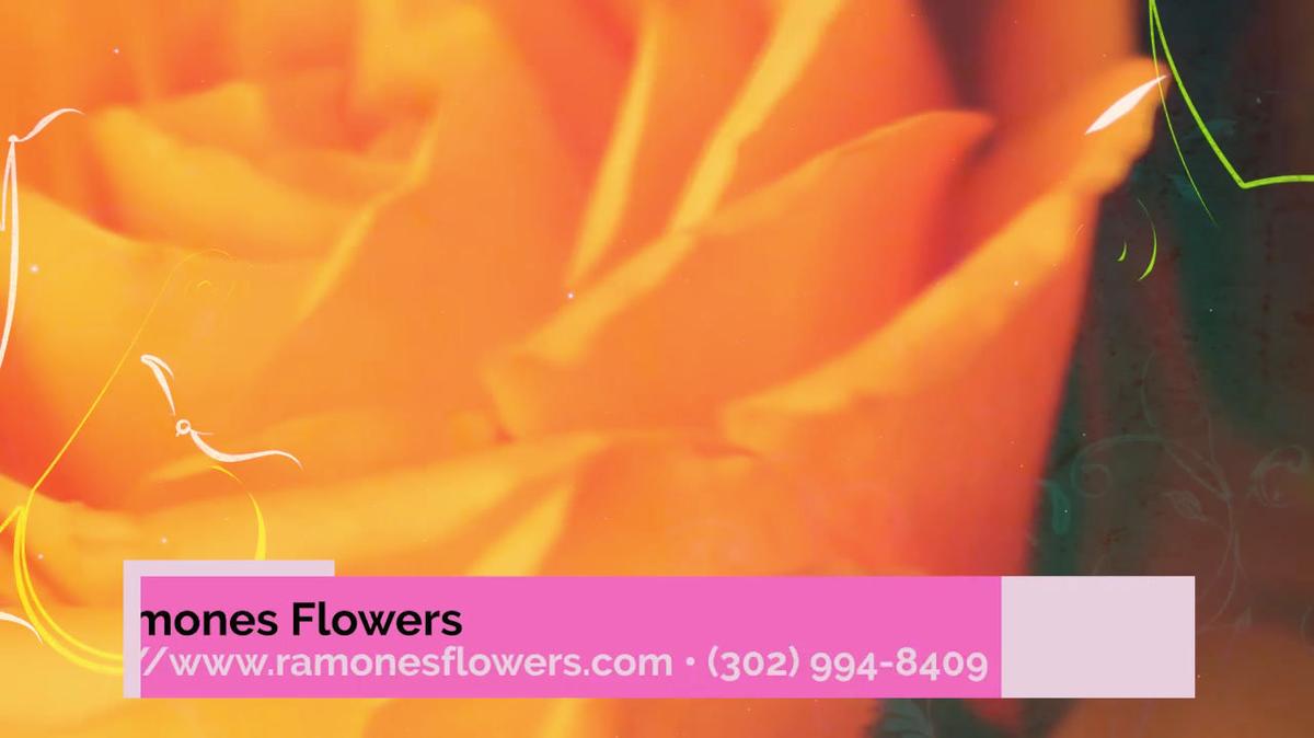 Florist in Wilmington DE, Ramones Flowers