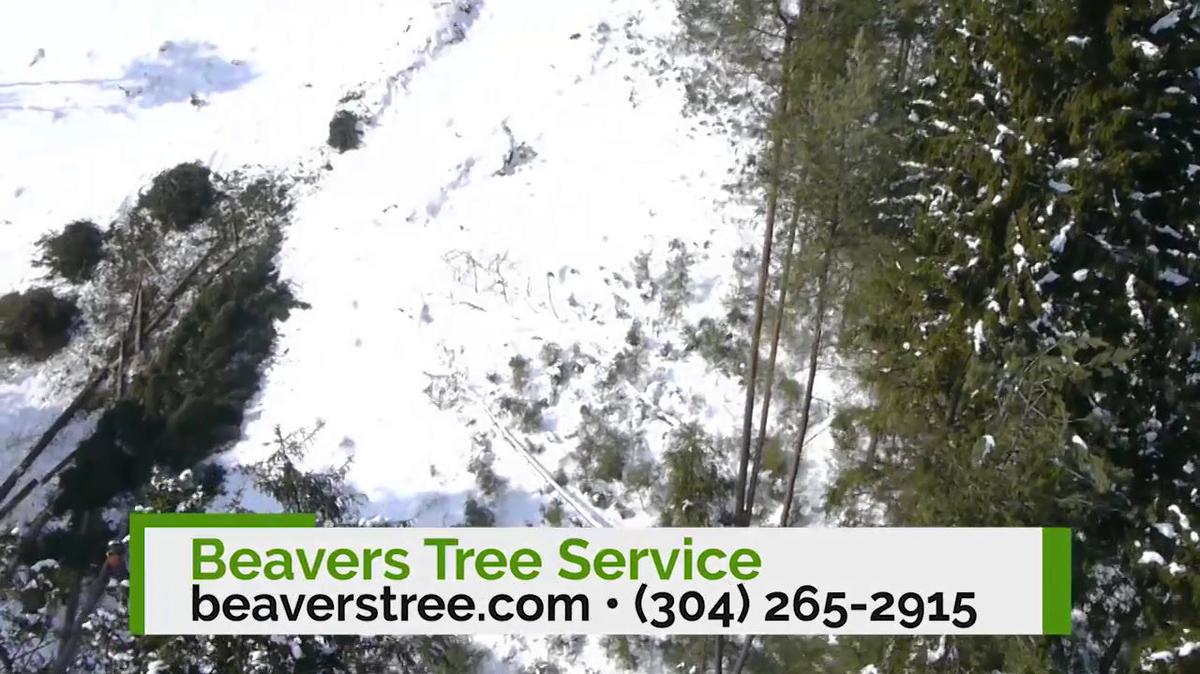 Tree Service in Grafton WV, Beavers Tree Service