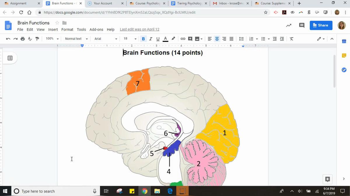 Brain Functions Assignment Instructions.mp4