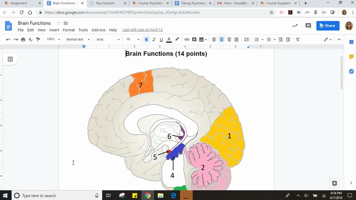 Brain Functions Assignment Instructions.mp4