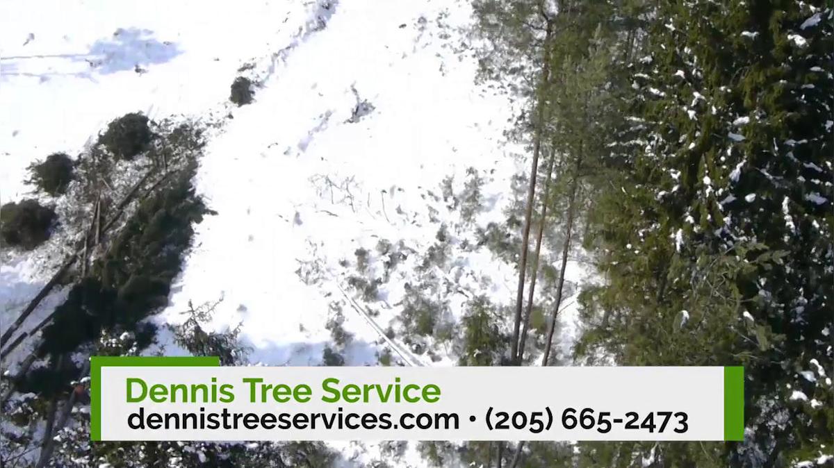 Tree Removal in Montevallo AL, Dennis Tree Service