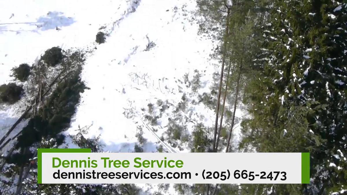 Tree Removal in Montevallo AL, Dennis Tree Service