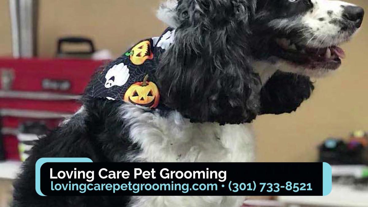 Pet Groomer in Hagerstown MD, Loving Care Pet Grooming
