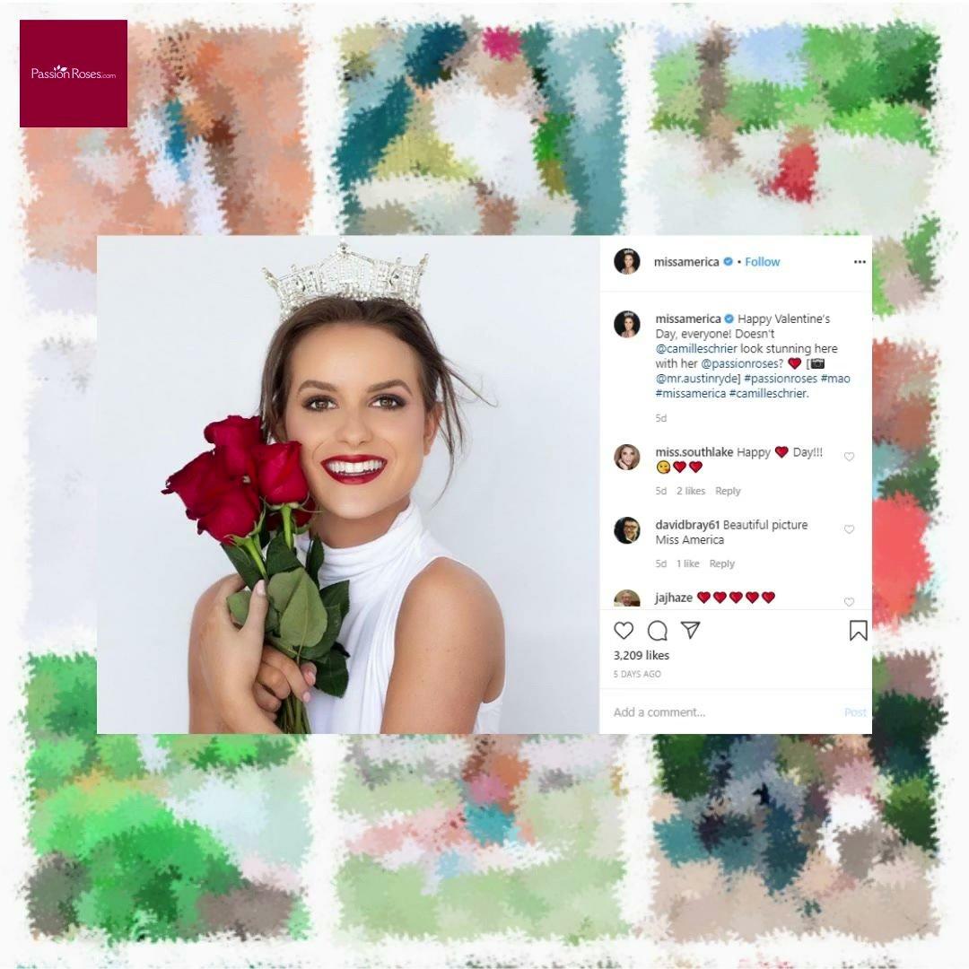 HB PassionRoses Valentine&#39;s Day Recap