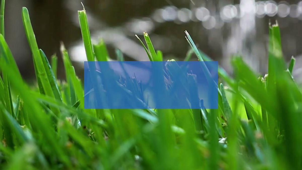 Irrigation Systems in Wylie TX, Texas Rain Inc
