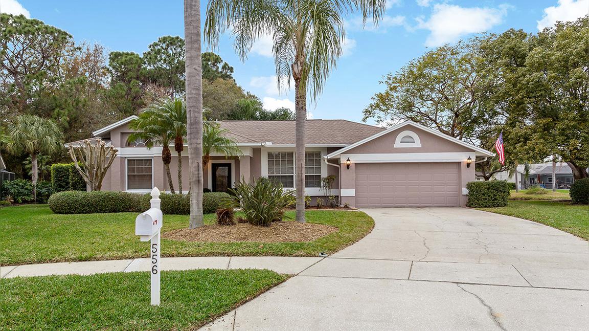 556 Hollowtree Pl., Tarpon Springs, FL 34688