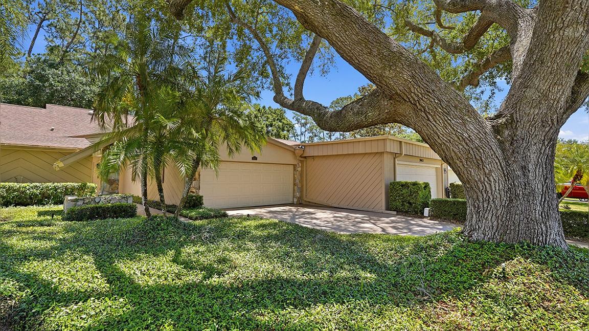 3071 Bolt Dr, Palm Harbor, FL 34685_MLS v2