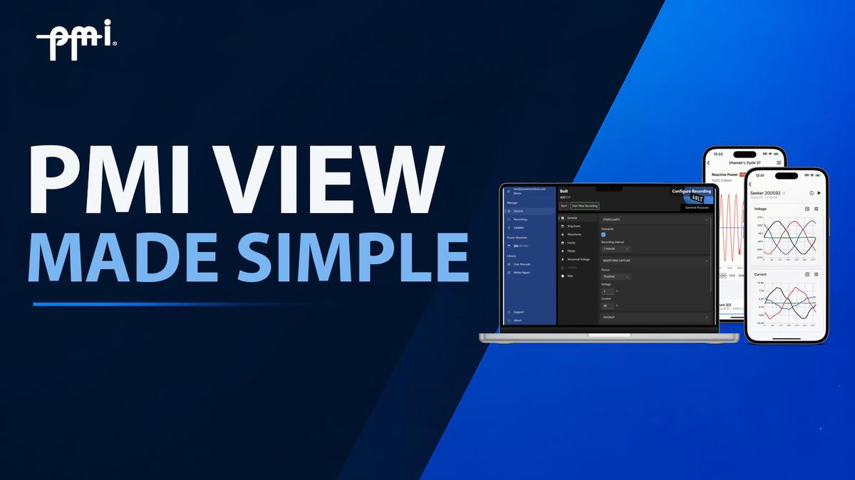 2604020 PMI View Training w Chris A
