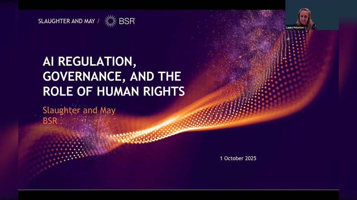 AI Regulation, Governance, and the Role of Human Rights (Asia/EMEA)