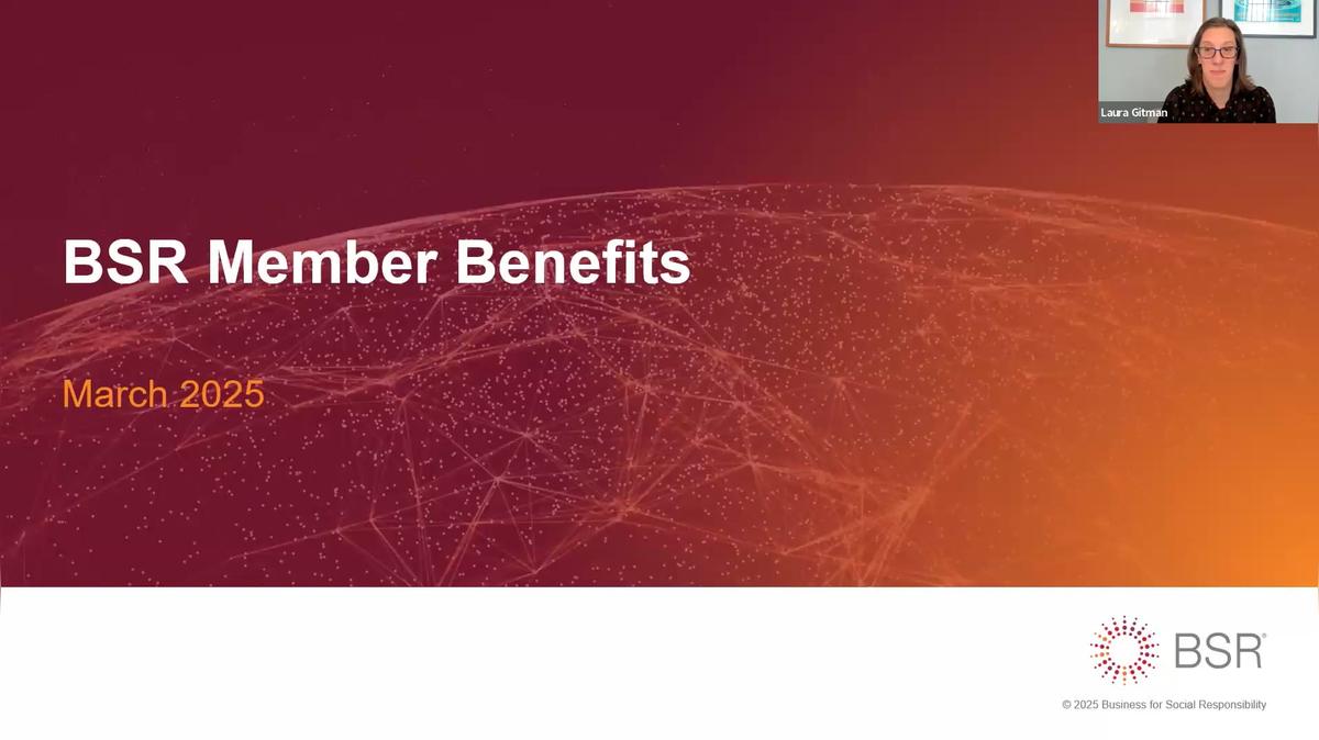 BSR Membership Benefits: Insights, Advice, and Collaboration