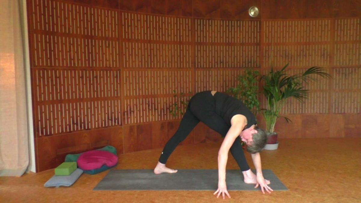 Half movement half meditation