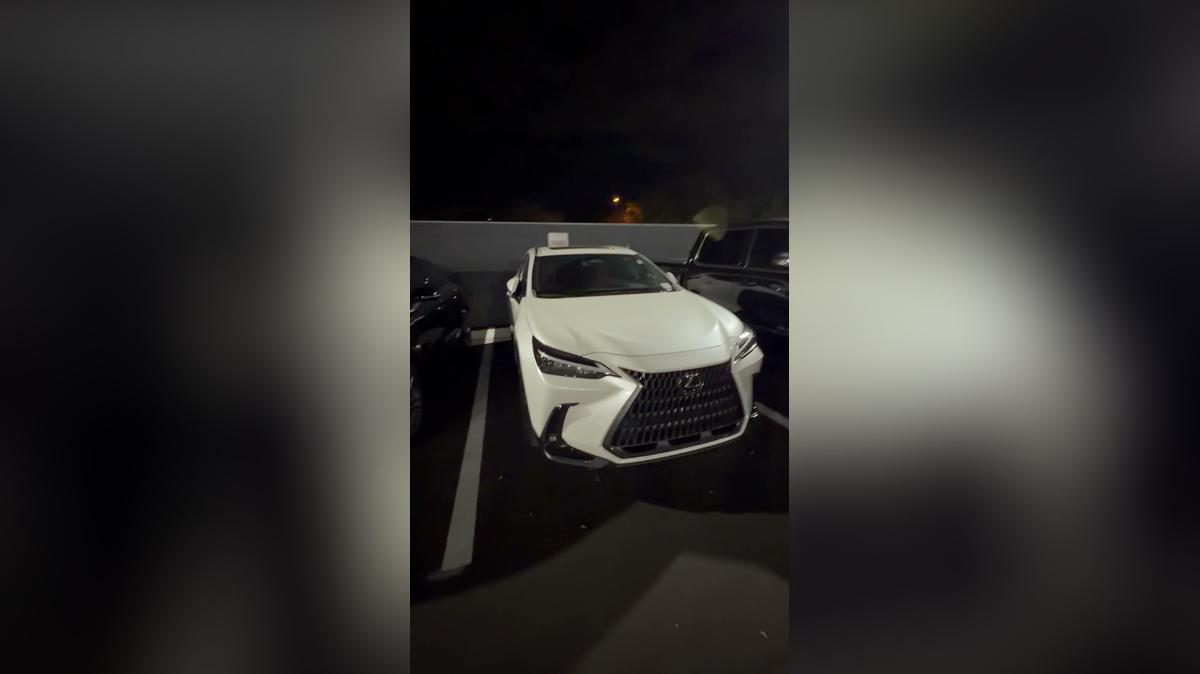 Lexus NX 250 Walk Around -