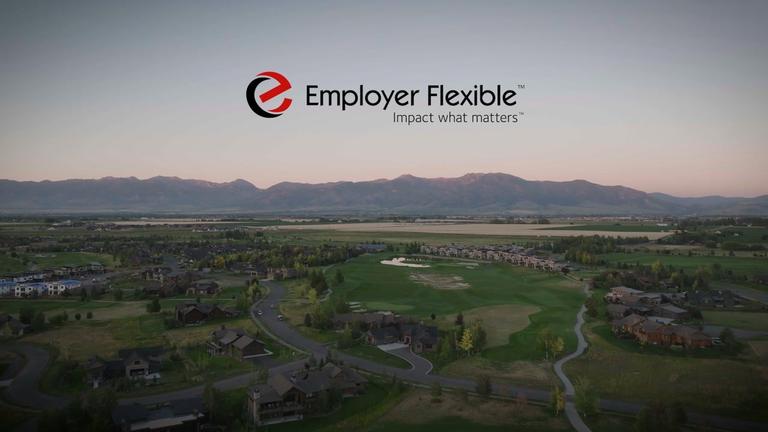 Employer Flexible: Pine Cove Consulting