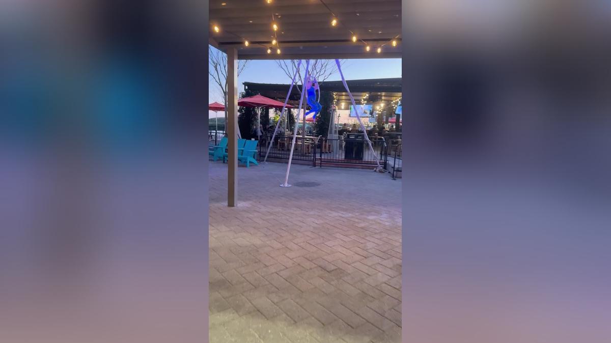 Free Standing Hoop Aerialist (C.V.)