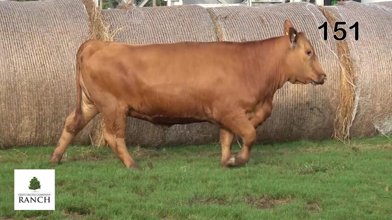 Lot 151 M056