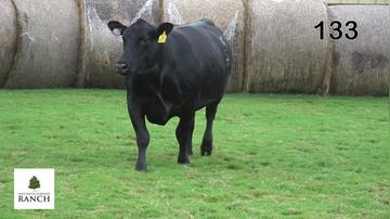 Lot 133 2268K