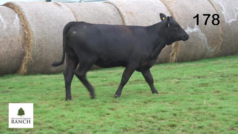 Lot 178 M327