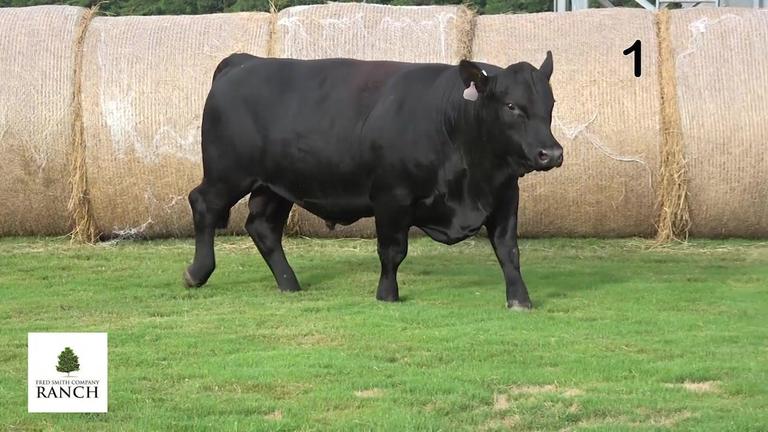Lot 1 M047