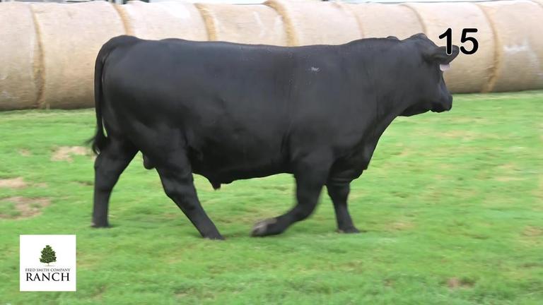 Lot 15 M040