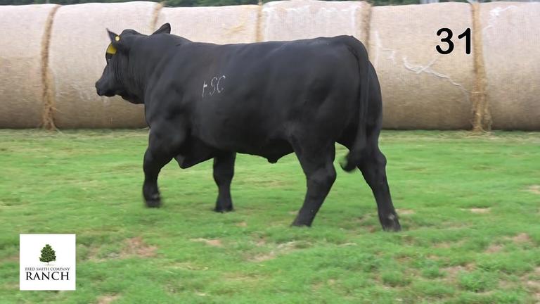 Lot 31 M180