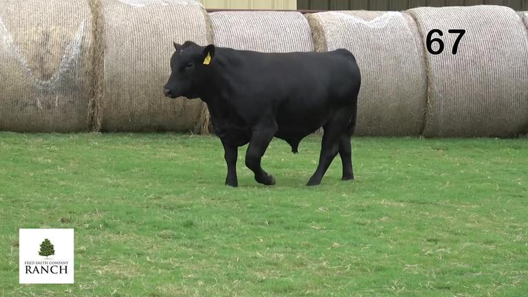 Lot 67 M259