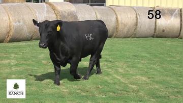 Lot 58 M141