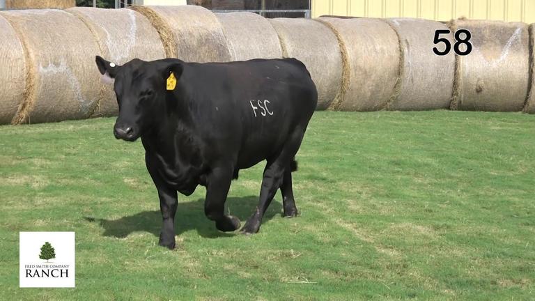 Lot 58 M141