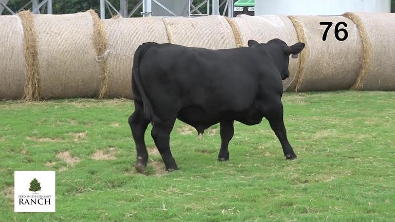 Lot 76 M301