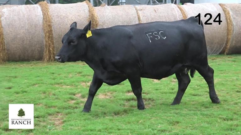 Lot 124 L287