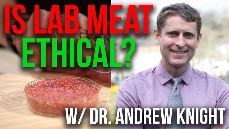 Do YOU Support Lab Grown Meat?