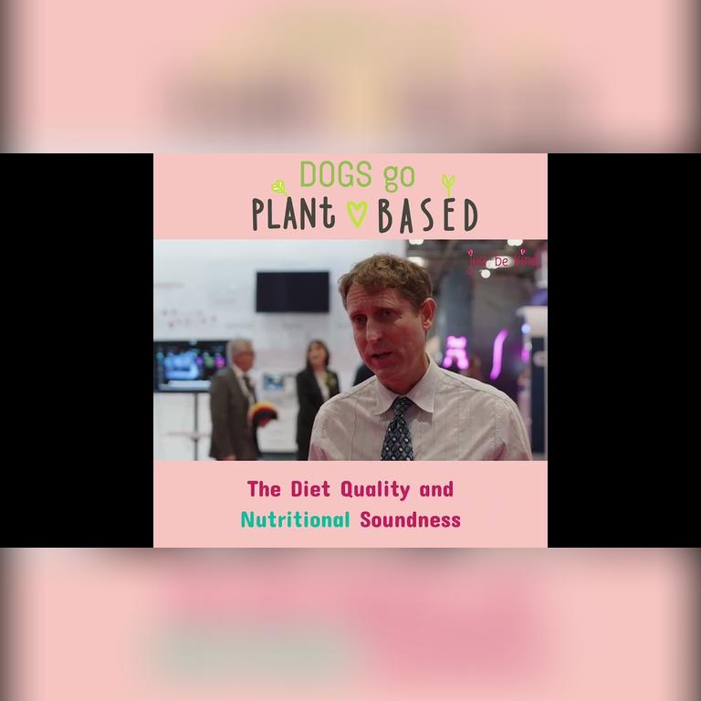 Vegan dog food discussions, London Vet Show, 2022