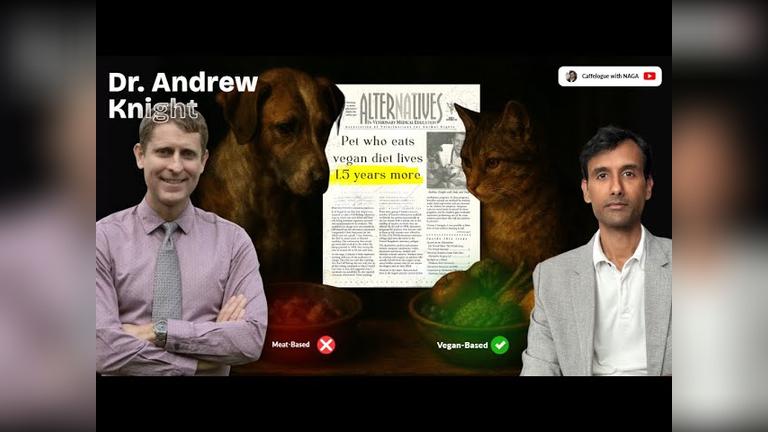 The Secret Power of Pet Food ? | Dr. Andrew Knight on Vegan Pets, Health &amp; the Environment | Part 1