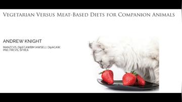 Professor Andrew Knight - Can cats and dogs go vegetarian?