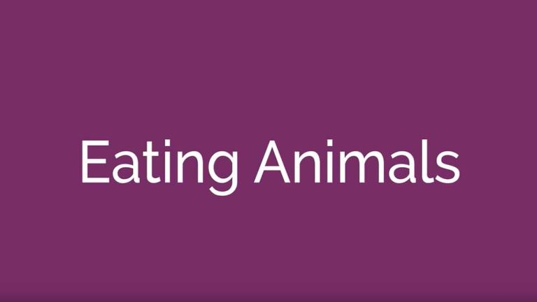 Eating Animals