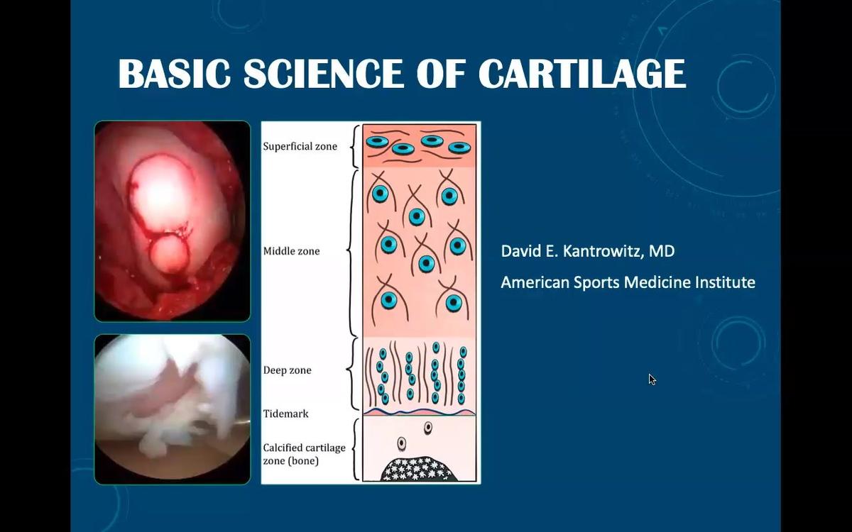 Basic Science of Cartilage