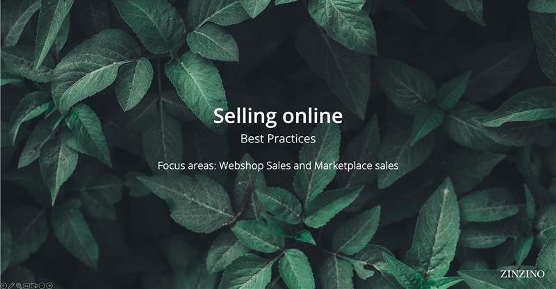 Online Selling Training: Webshop &amp; Marketplace Sales