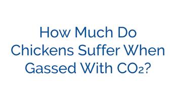 How Much Do Chickens Suffer When Gassed With CO2