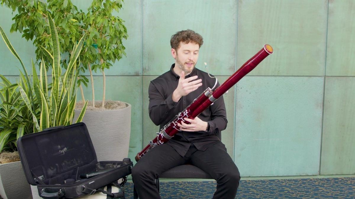 Meet the Bassoon
