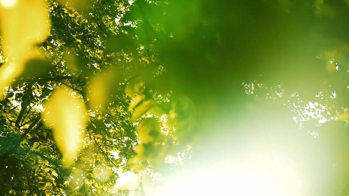 MK - JOG Promotional Video